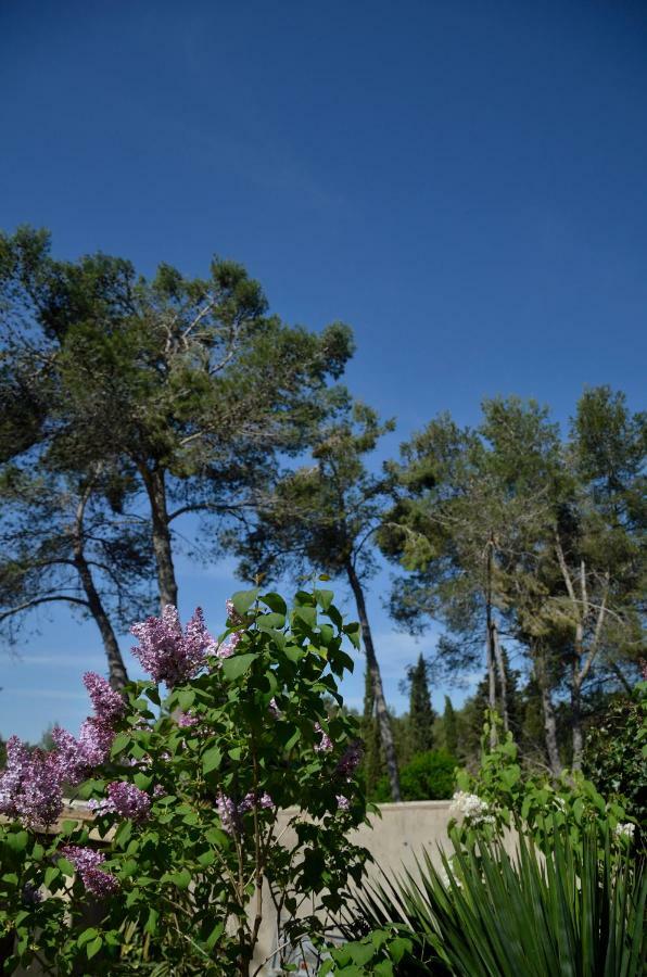 Villa Mas Du Puech Clapas Assas Esterno foto