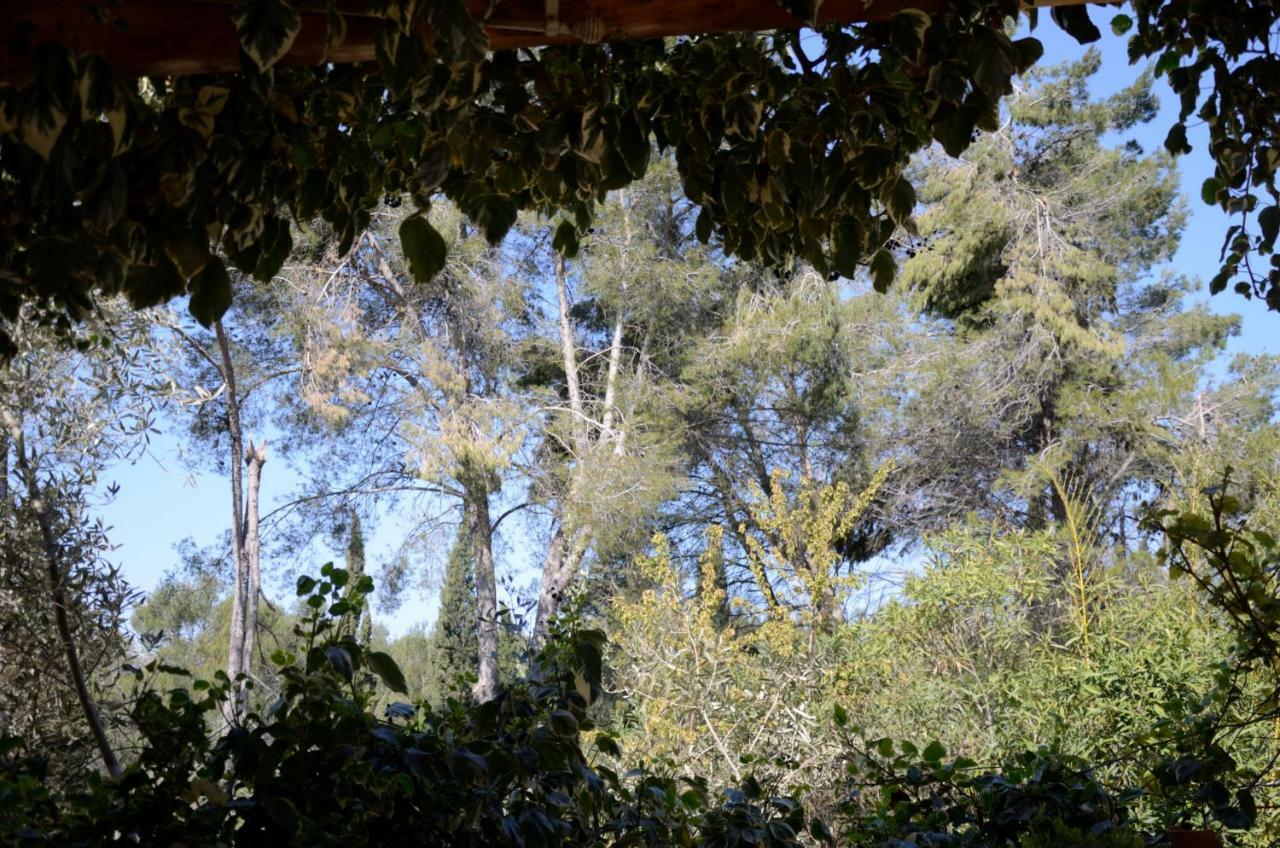 Villa Mas Du Puech Clapas Assas Esterno foto